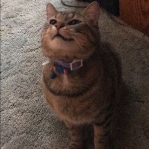 Meet your Posher, Haley